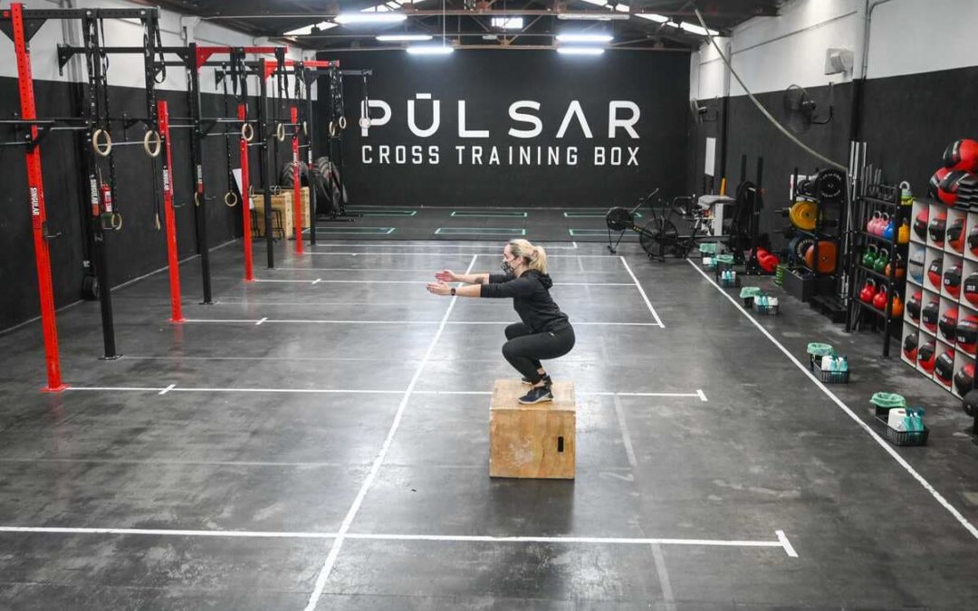 Pulsar Cross Training Box